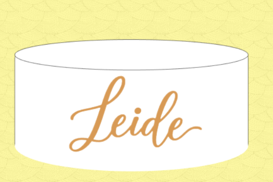 Topo de Bolo - Leide